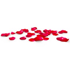 Petals of a red rose lying on the floor