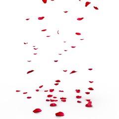 Red rose petals are flying to the floor