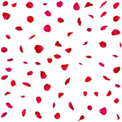 Seamless texture of red rose petals