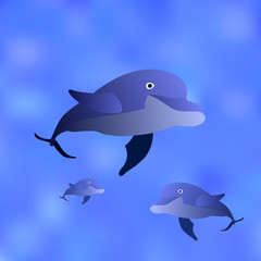 Three dolphins float in water