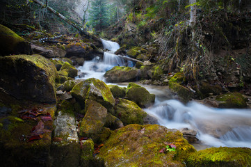Obraz premium mountain river waterfall in the autumn forest