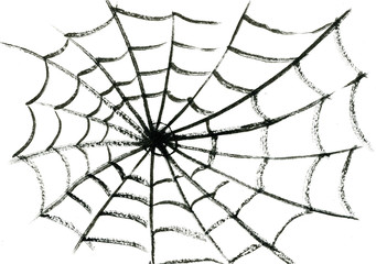 Obraz premium Spider's web