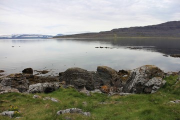 Fototapeta na wymiar Island, Isafjördur, Vogelinsel Vigur, Norden