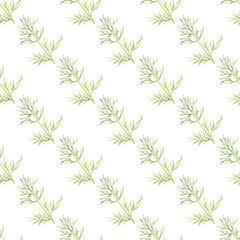 Seamless pattern with dill. Hand-drawn background. Vector