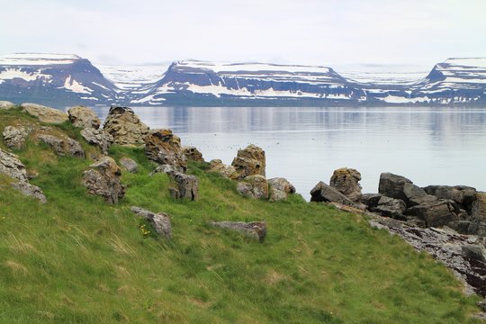 Island, Isafjördur, Vogelinsel Vigur, Norden