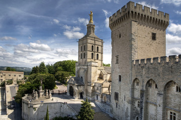 Fototapeta na wymiar The Palace of Popes, Avignon, France