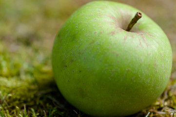 Herbstlicher Apfel grün