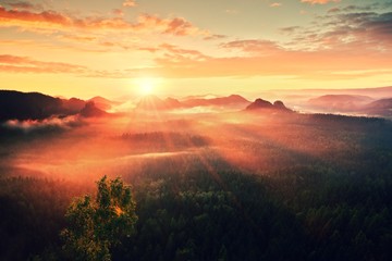 Autumn sunrise panorama  in a beautiful mountain within inversion. Peaks of hills increased from heavy  fogg