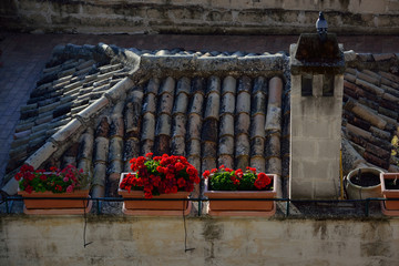 Le tegole sul tetto