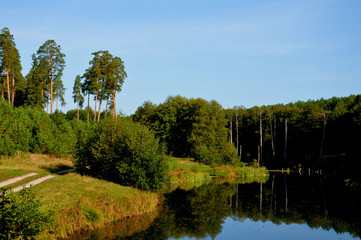 Fototapeta premium На озере в сентябре