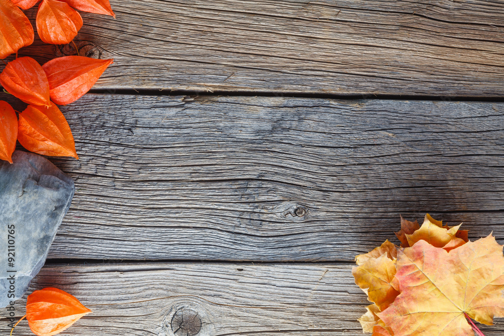 Canvas Prints fall background