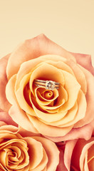 Pink Rose and diamond ring nestled inside. Bouquet of blossoming