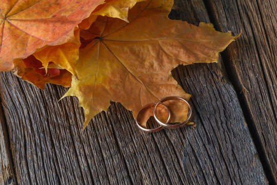 Fall Wedding Decoration On Rustic Wood