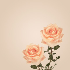 Vintage background with roses flowers. Retro backdrop