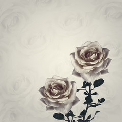 Vintage background with roses flowers. Retro backdrop