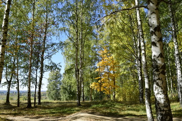 осенняя прогулка