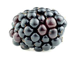 Closeup of blackberry isolated on white