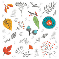 Autumn foliage set with twigs flowers and leaves