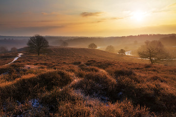 Beautiful winter sunrise landscape at national park the Posbank in the Netherlands