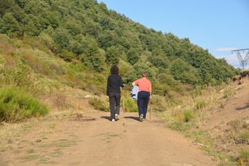 paseando por un camino de montaña
