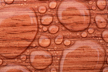Fototapeta na wymiar Water Droplets