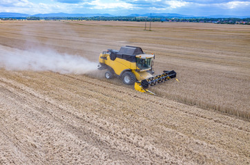 Obraz premium Combine working on the wheat field