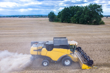 Combine working on the wheat field
