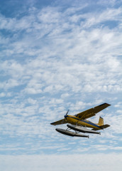 Fototapeta na wymiar yellow sea plane flying