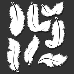 White feathers flat design set
