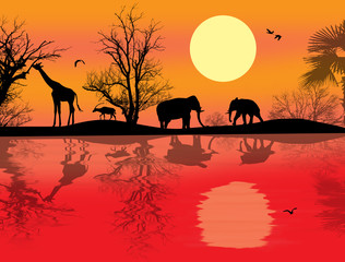 Fototapeta na wymiar African safari theme