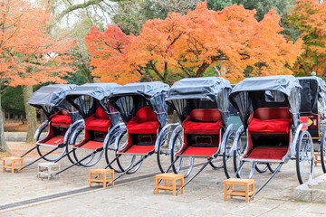 Rickshaws in the park of Nara.