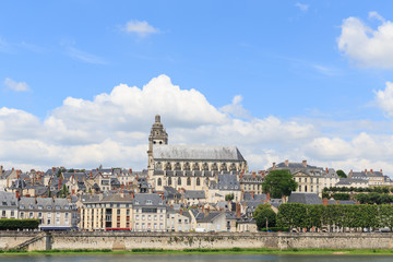 Cathedral and houses, Blois, valley of Loire
