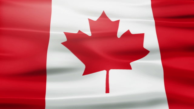 Waving Canadian flag.