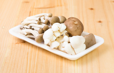 mix mashrooms in foam plated on wooden