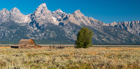 Old barn at Grand Teton National Park © forcdan