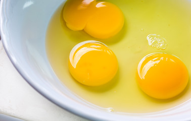egg in white bowl