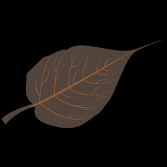 creative brown peepal leaf vector 