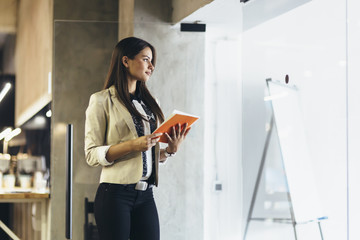 Businesswoman reading a document