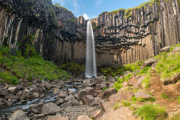 Fototapeta premium Svartifoss Waterfall, Skaftafell national park, Iceland