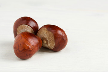 chestnut