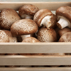 Brown cap mushrooms in box