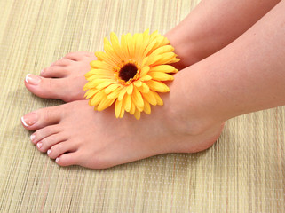 Closeup photo of a beautiful female feet with red pedicure