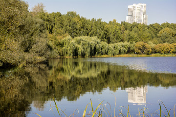 Pond in the Moscow park