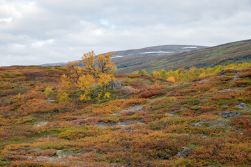 Mountain landscape in north of Sweden