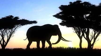 Fototapeta na wymiar Elephant silhouette on nature background