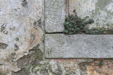 The textured from natural building