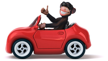 Fun monkey © Julien Tromeur