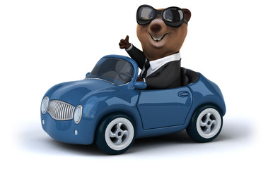 Fun bear