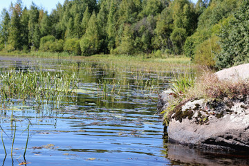 landscape stone on the lake
