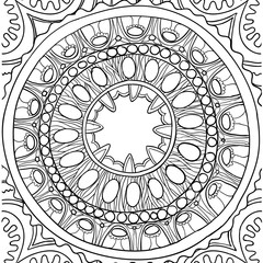 Black and white ornament. Floral mandala. Hand drawn pattern